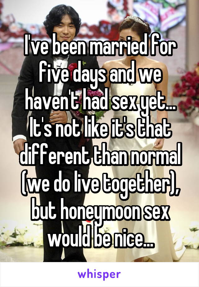 I've been married for five days and we haven't had sex yet... It's not like it's that different than normal (we do live together), but honeymoon sex would be nice...
