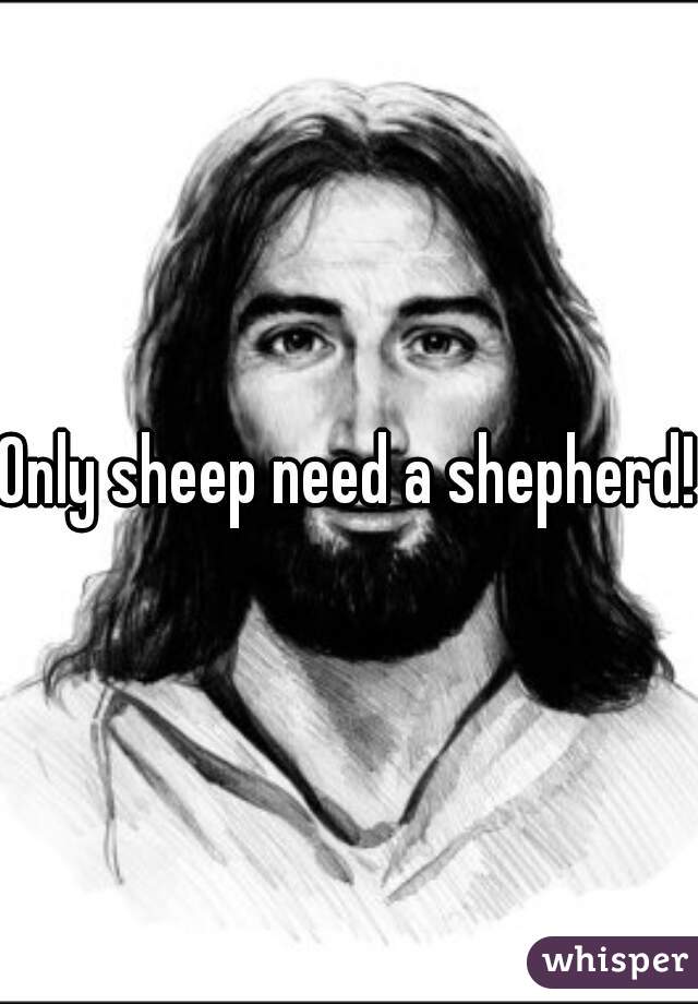 Only sheep need a shepherd!