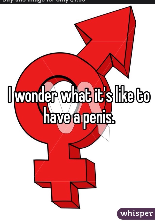 I wonder what it's like to have a penis.