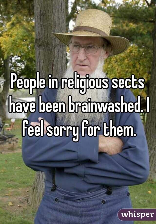 People in religious sects have been brainwashed. I feel sorry for them.