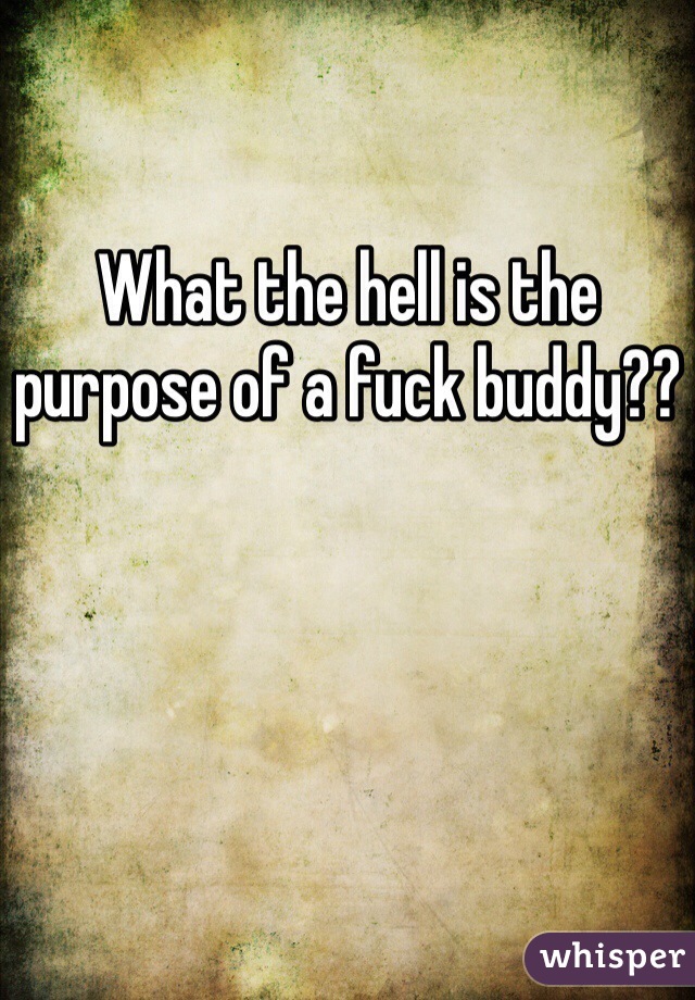 What the hell is the 
purpose of a fuck buddy??