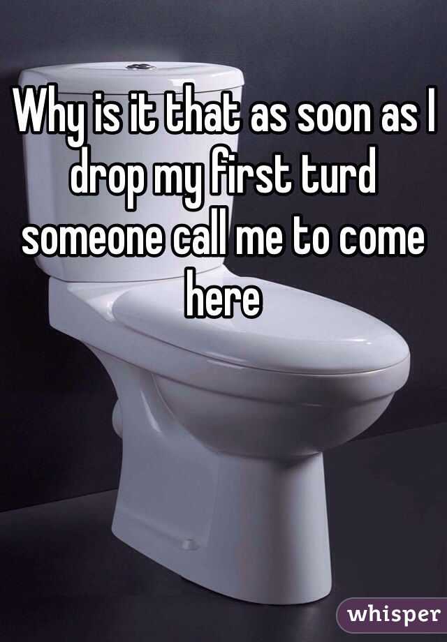 Why is it that as soon as I drop my first turd someone call me to come here