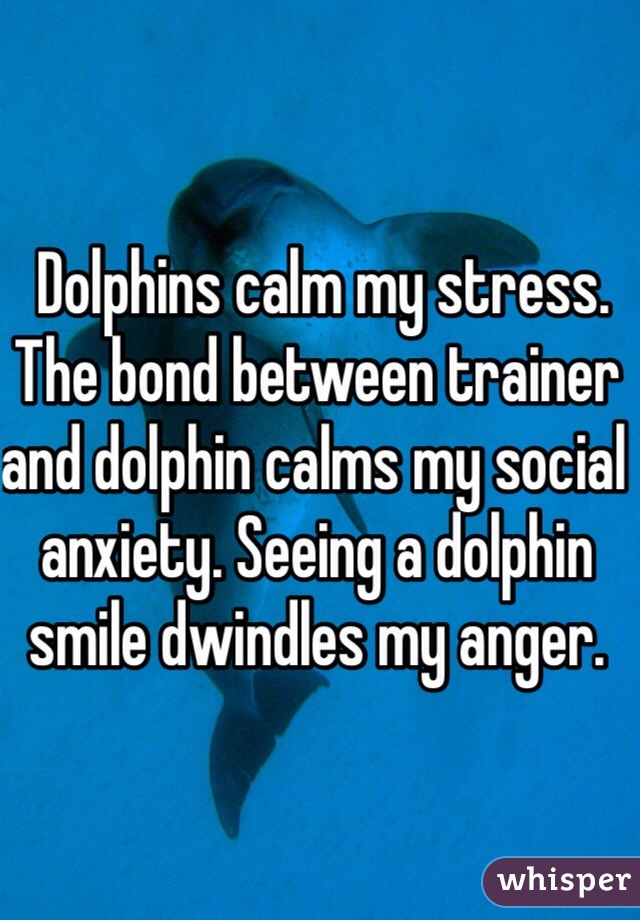  Dolphins calm my stress. The bond between trainer and dolphin calms my social anxiety. Seeing a dolphin smile dwindles my anger.