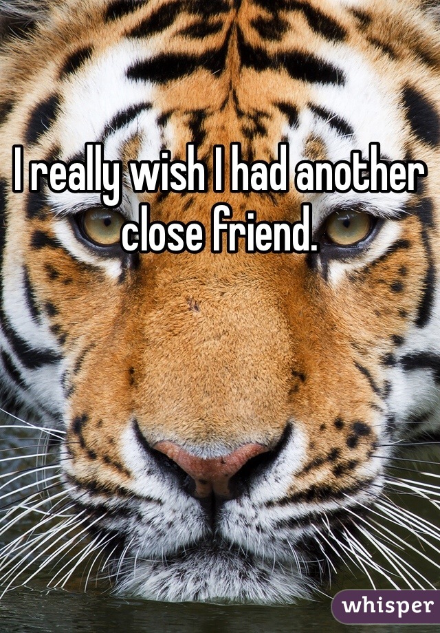 I really wish I had another close friend. 