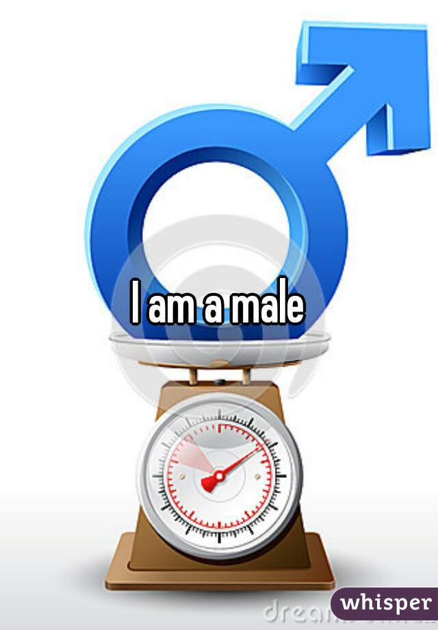 I am a male
