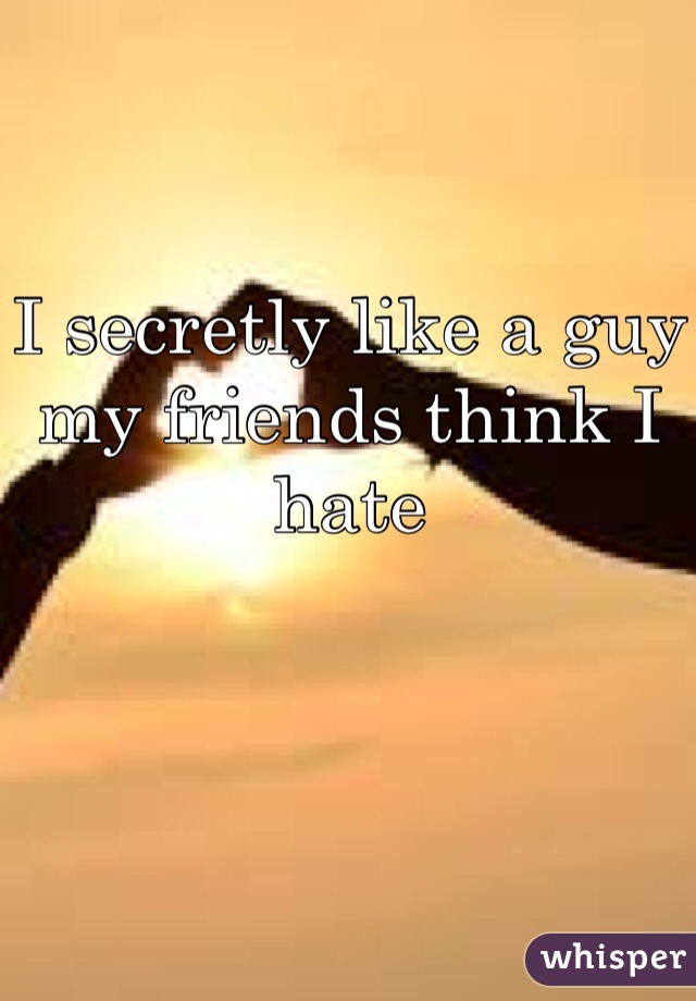 I secretly like a guy my friends think I hate

