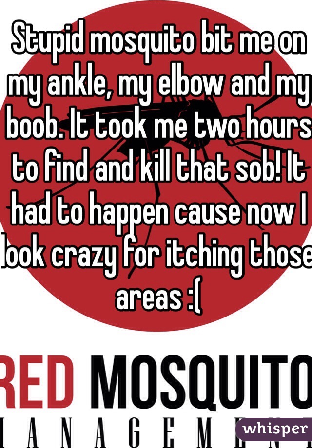 Stupid mosquito bit me on my ankle, my elbow and my boob. It took me two hours to find and kill that sob! It had to happen cause now I look crazy for itching those areas :(