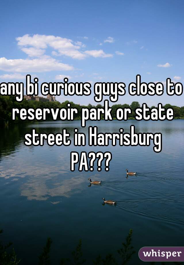 any bi curious guys close to reservoir park or state street in Harrisburg PA??? 