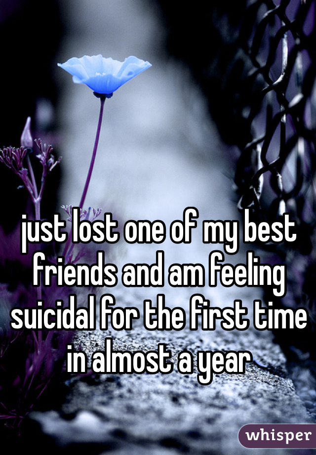 just lost one of my best friends and am feeling suicidal for the first time in almost a year
