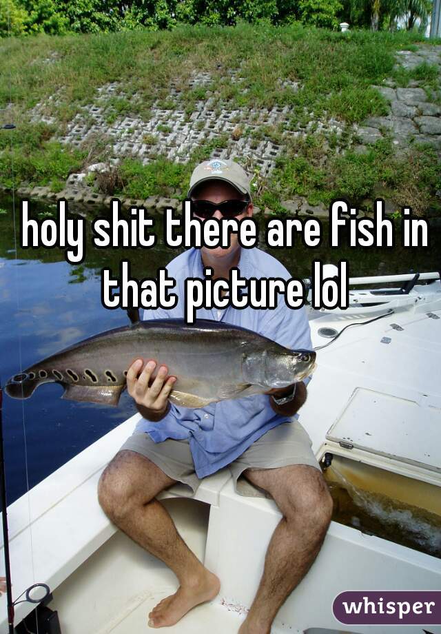 holy shit there are fish in that picture lol 
