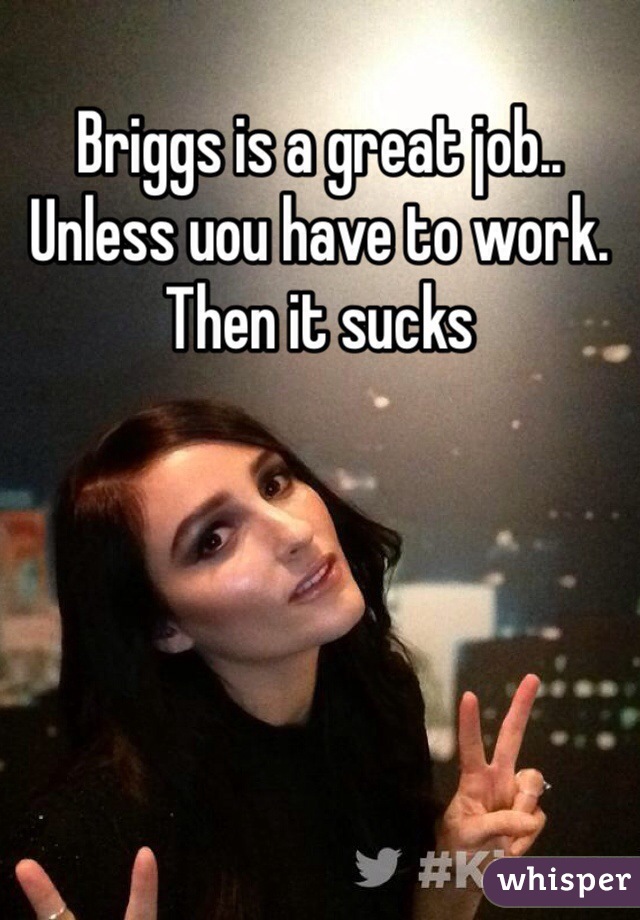 Briggs is a great job.. Unless uou have to work. Then it sucks 