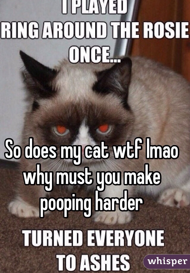 So does my cat wtf lmao why must you make pooping harder 