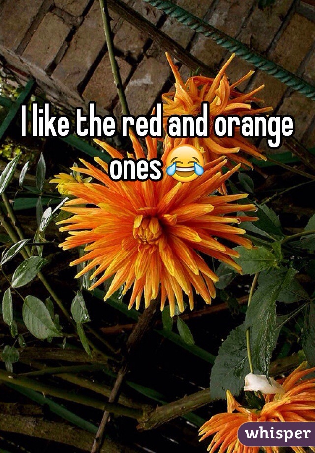 I like the red and orange ones😂