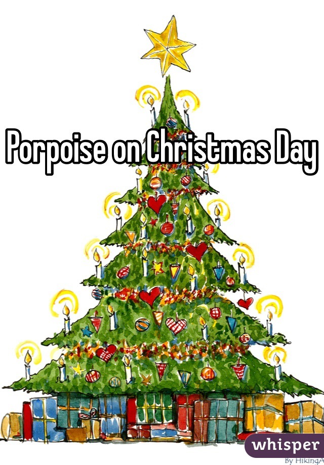 Porpoise on Christmas Day
