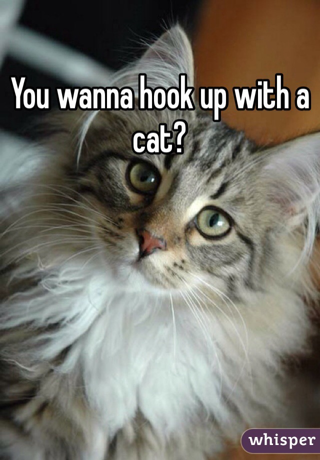 You wanna hook up with a cat?