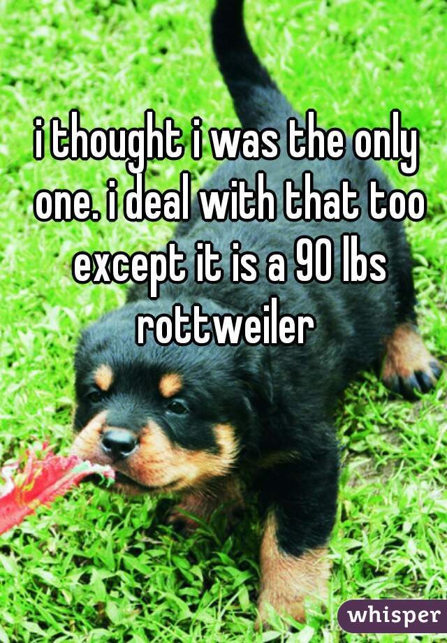 i thought i was the only one. i deal with that too except it is a 90 lbs rottweiler 