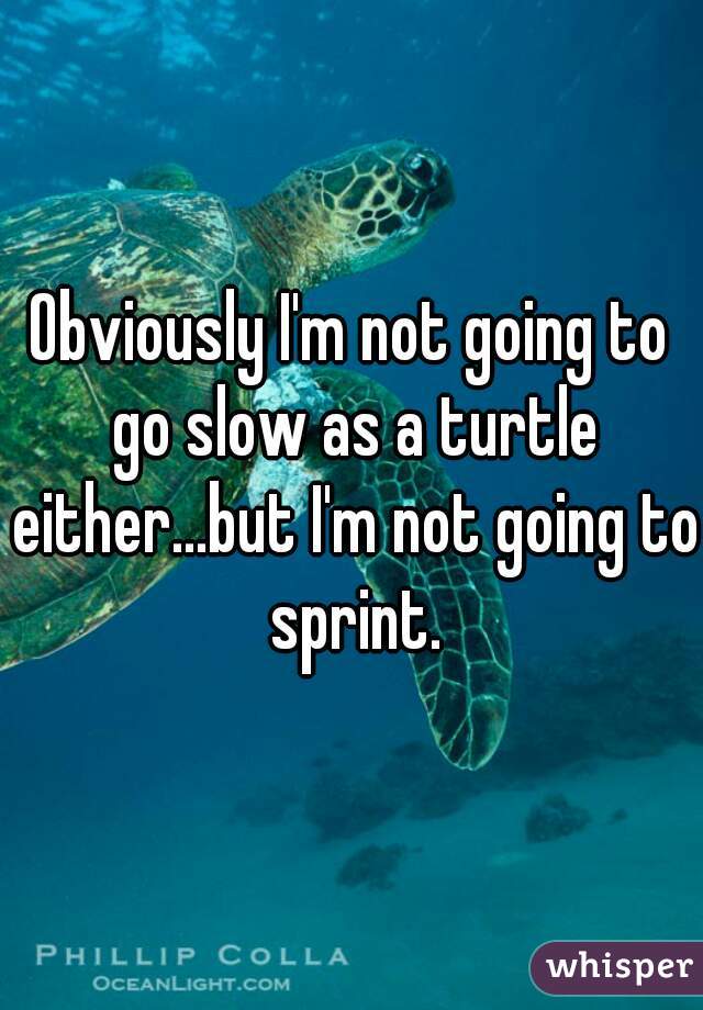 Obviously I'm not going to go slow as a turtle either...but I'm not going to sprint.