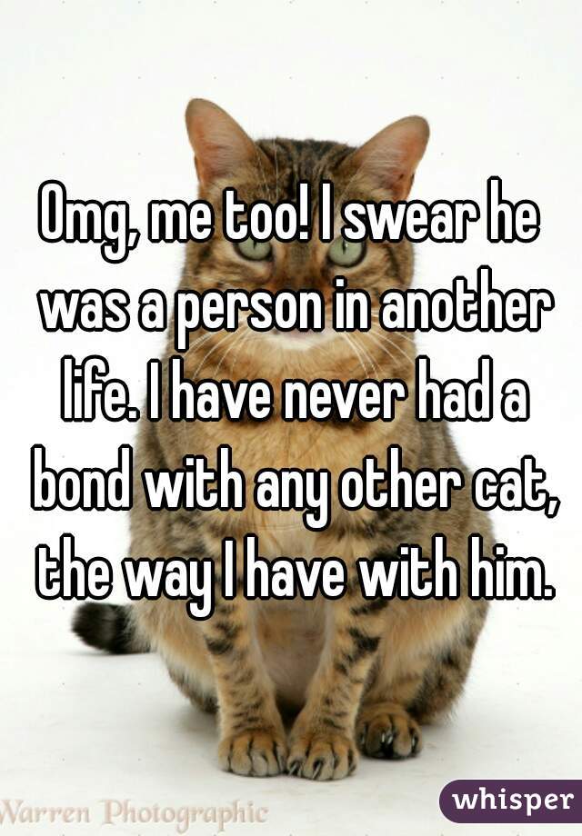 Omg, me too! I swear he was a person in another life. I have never had a bond with any other cat, the way I have with him.