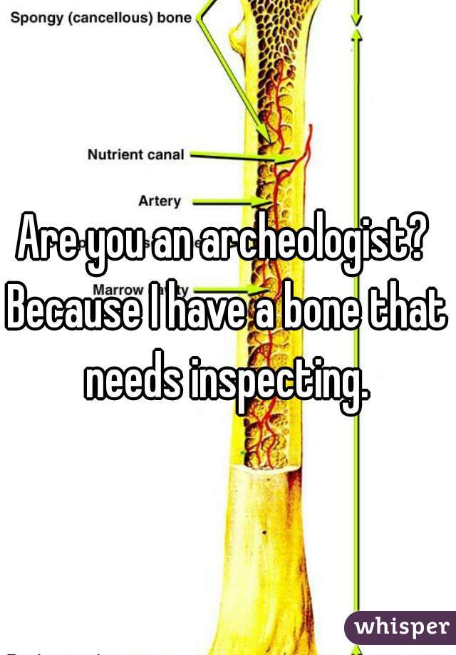 Are you an archeologist? 

Because I have a bone that needs inspecting. 