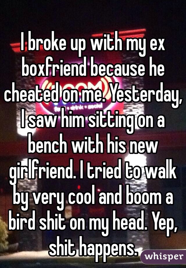 I broke up with my ex boxfriend because he cheated on me. Yesterday, I saw him sitting on a bench with his new girlfriend. I tried to walk by very cool and boom a bird shit on my head. Yep, shit happens. 