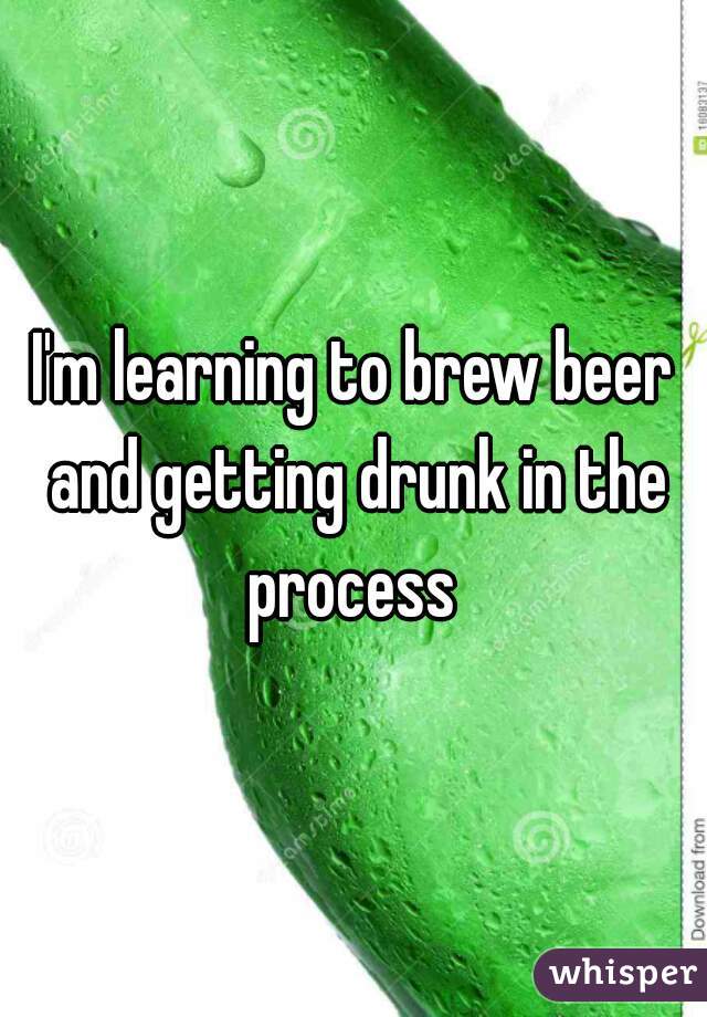 I'm learning to brew beer and getting drunk in the process 