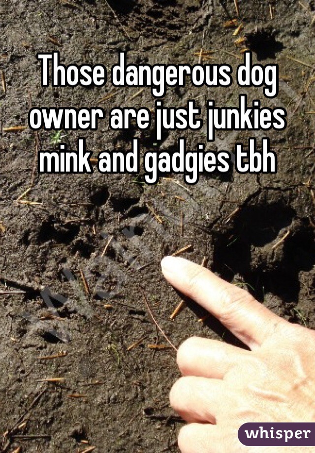 Those dangerous dog owner are just junkies mink and gadgies tbh 