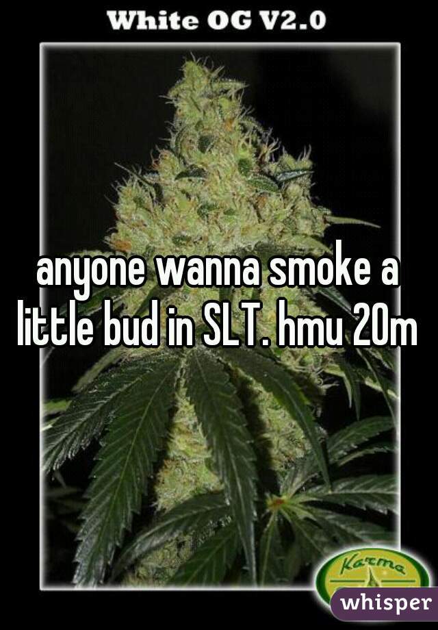 anyone wanna smoke a little bud in SLT. hmu 20m 