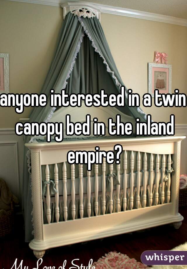 anyone interested in a twin canopy bed in the inland empire?