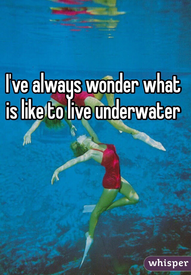 I've always wonder what is like to live underwater 
