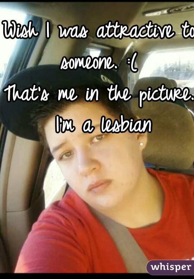 Wish I was attractive to someone. :( 

That's me in the picture. I'm a lesbian