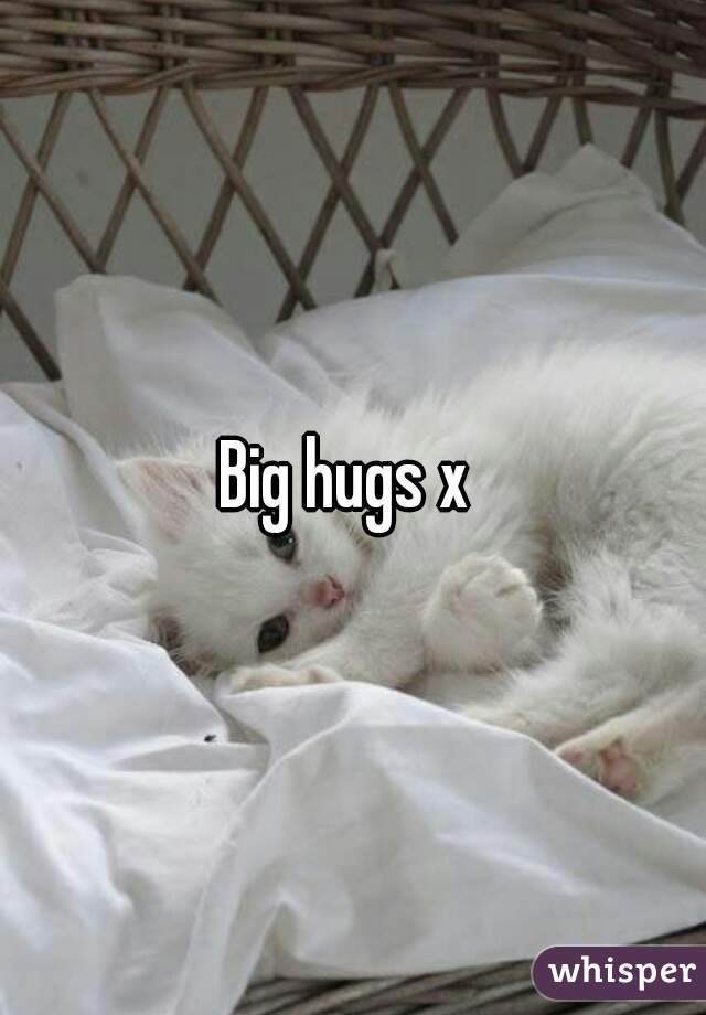 Big hugs x 