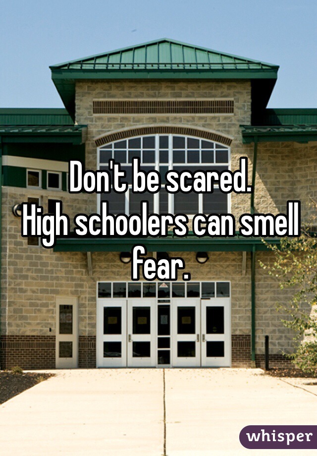 Don't be scared. 
High schoolers can smell fear.