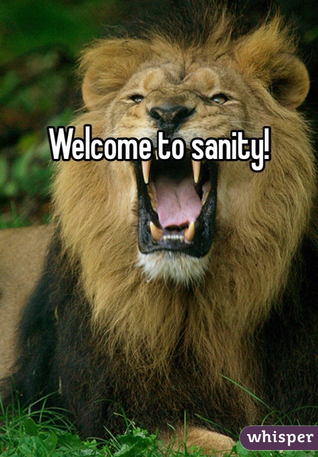 Welcome to sanity!