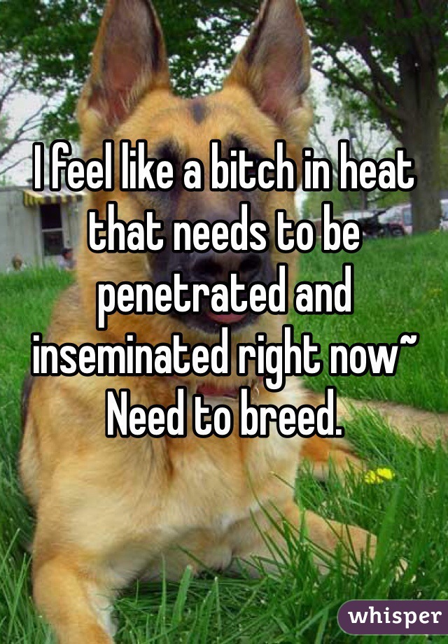 I feel like a bitch in heat that needs to be penetrated and inseminated right now~ Need to breed. 