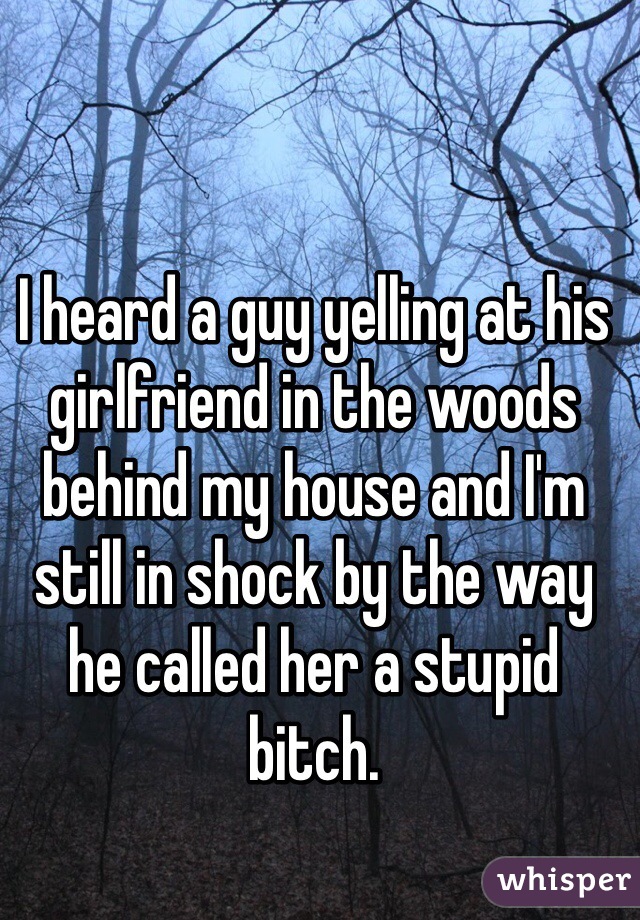 I heard a guy yelling at his girlfriend in the woods behind my house and I'm still in shock by the way he called her a stupid bitch. 