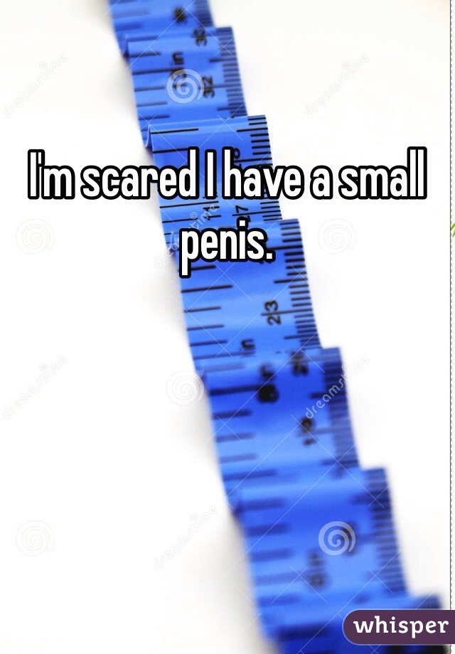 I'm scared I have a small penis.
