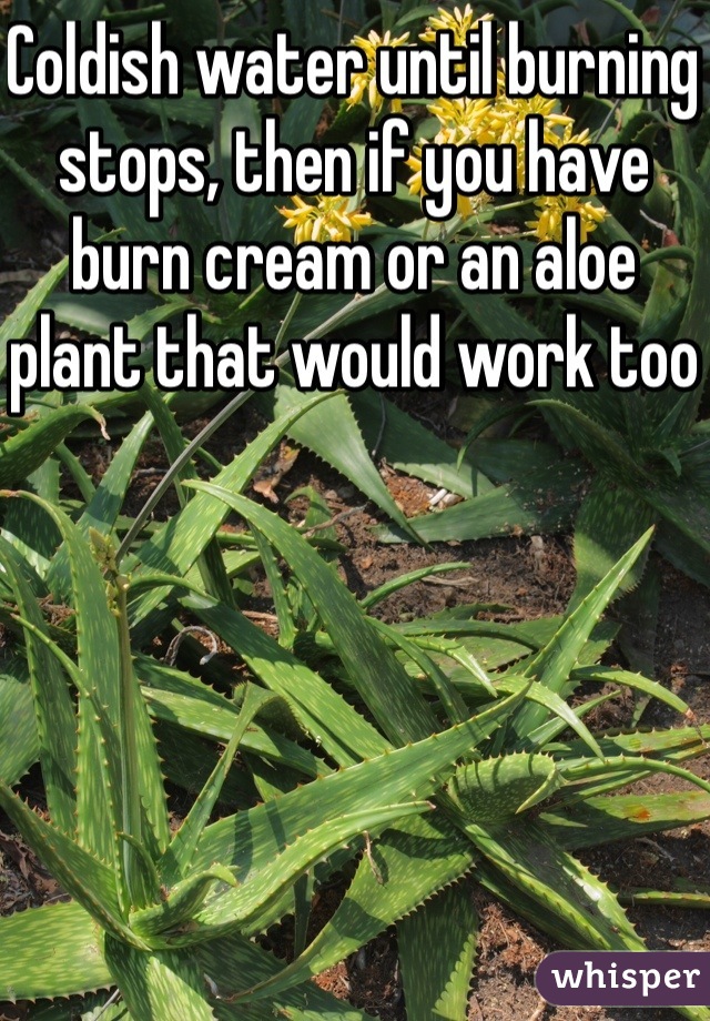 Coldish water until burning stops, then if you have burn cream or an aloe plant that would work too