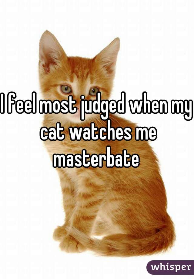 I feel most judged when my cat watches me masterbate 