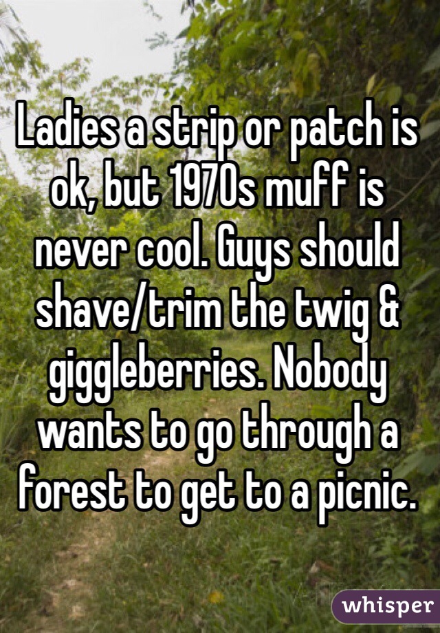 Ladies a strip or patch is ok, but 1970s muff is never cool. Guys should shave/trim the twig & giggleberries. Nobody wants to go through a forest to get to a picnic.