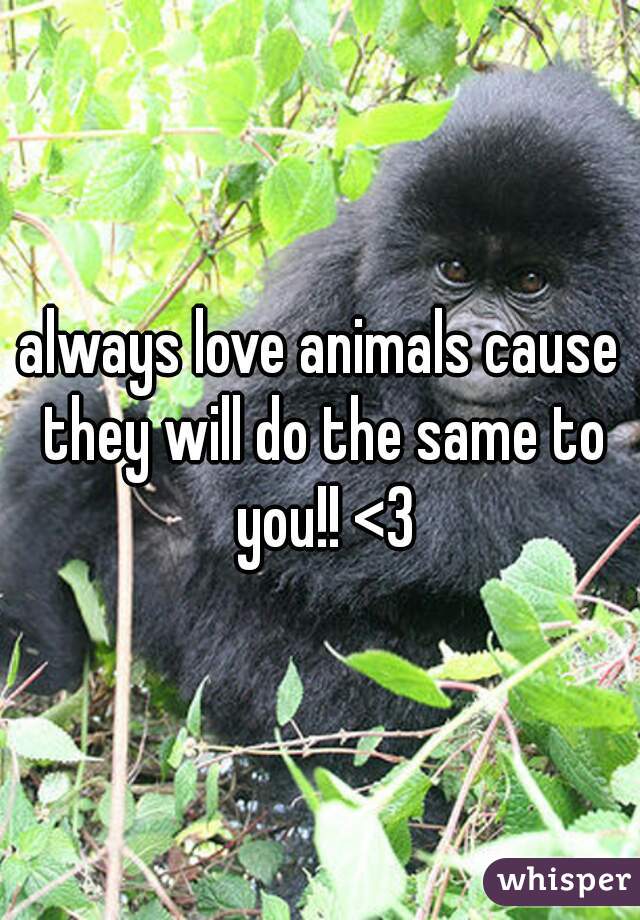 always love animals cause they will do the same to you!! <3