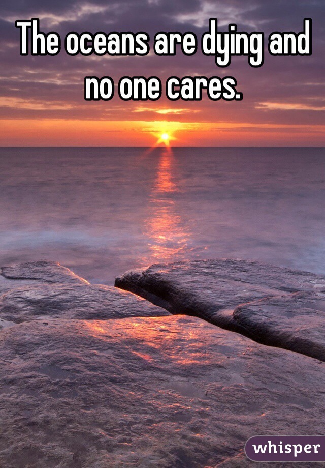 The oceans are dying and no one cares.