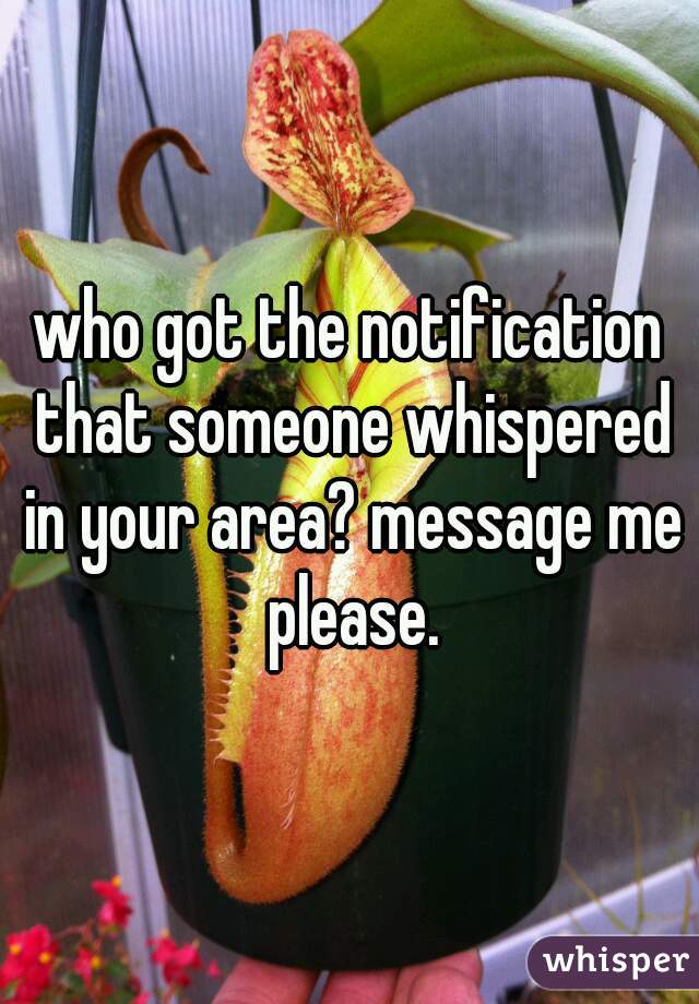 who got the notification that someone whispered in your area? message me please.