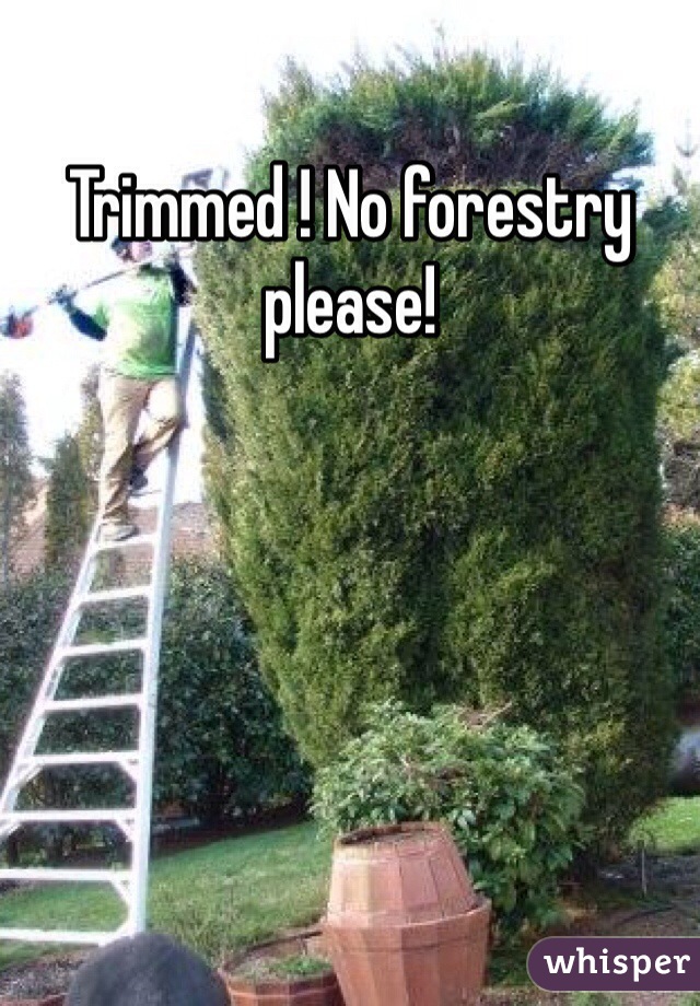 Trimmed ! No forestry please!