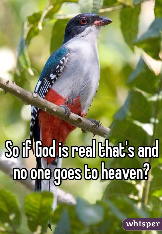 So if God is real that's and no one goes to heaven?
