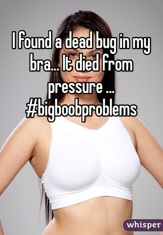 I found a dead bug in my bra... It died from pressure ... 
#bigboobproblems