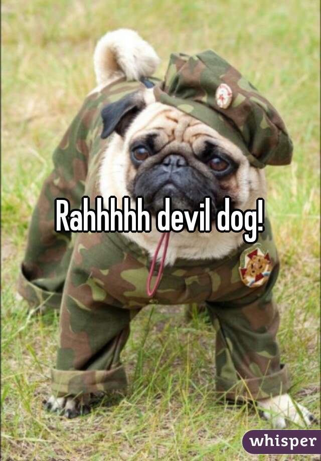 Rahhhhh devil dog!