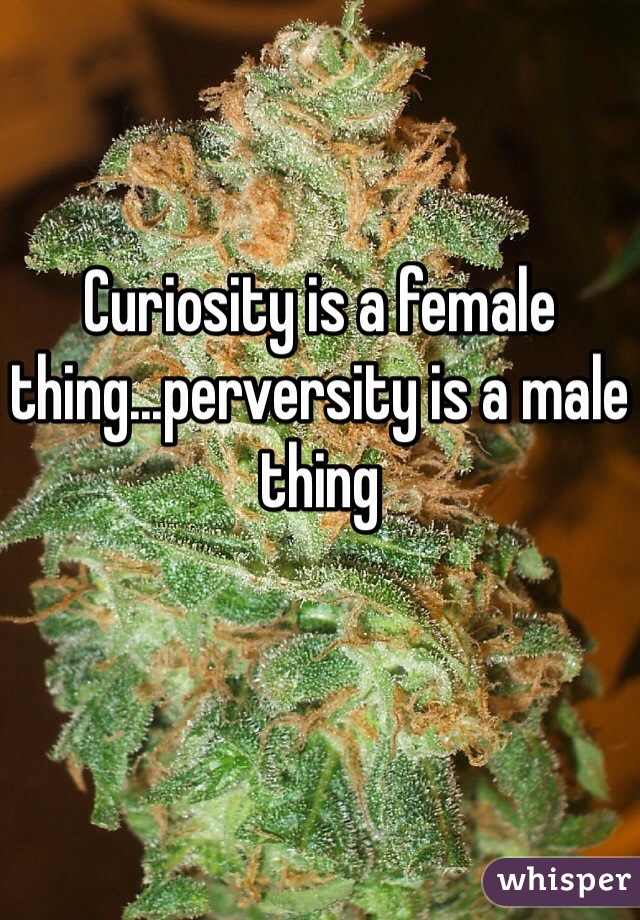 Curiosity is a female thing...perversity is a male thing