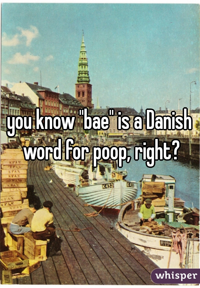 you know "bae" is a Danish word for poop, right?