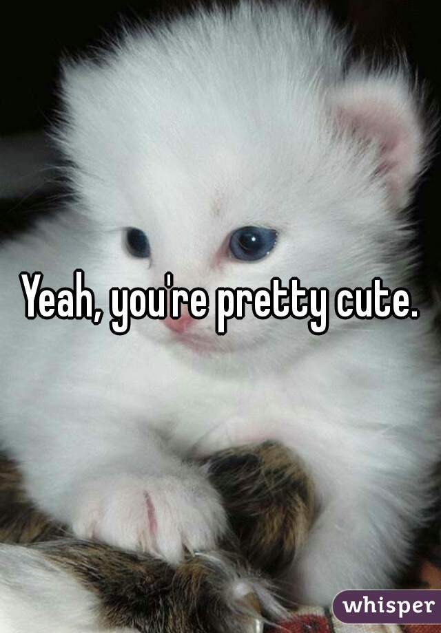 Yeah, you're pretty cute.