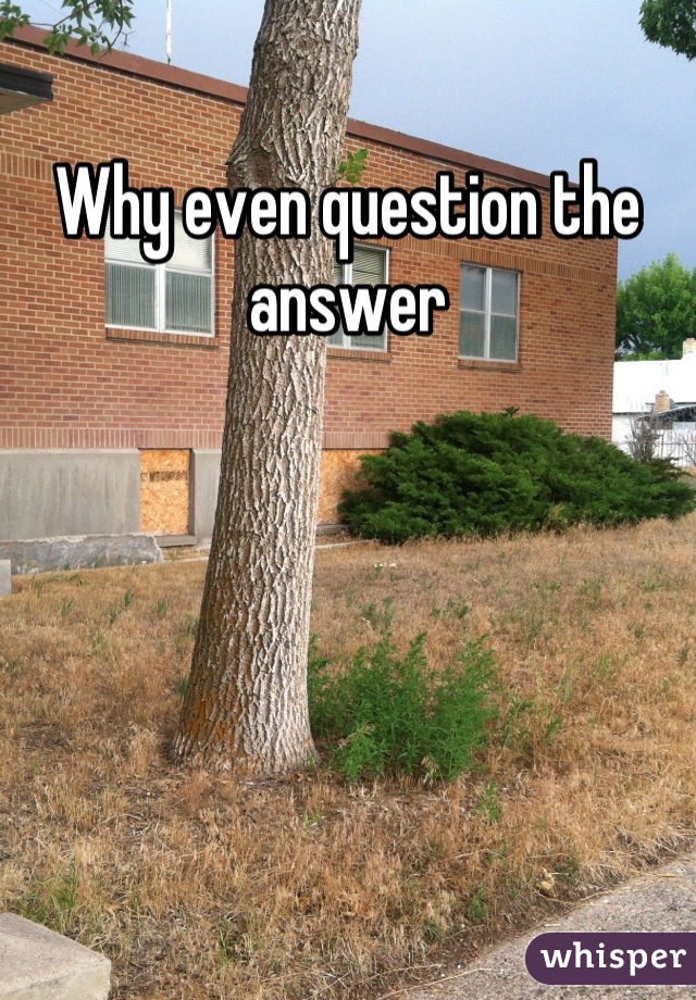 Why even question the answer